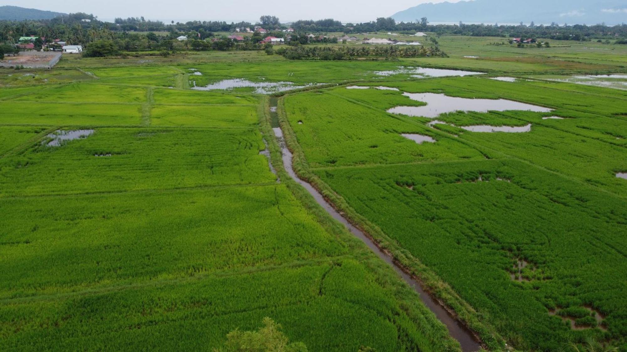 Tempoyak villa homestay Pantai Cenang  Dış mekan fotoğraf