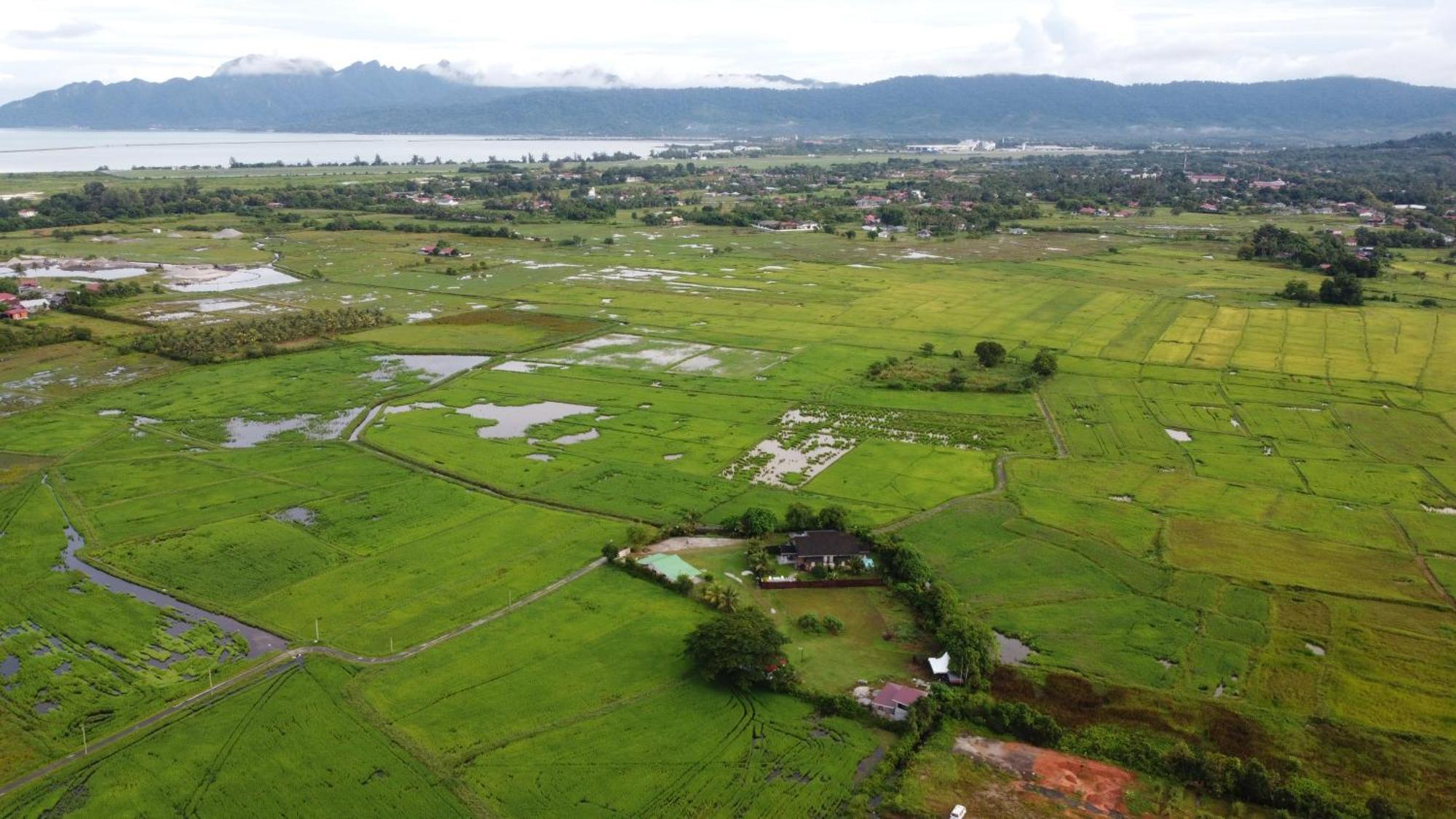 Tempoyak villa homestay Pantai Cenang  Dış mekan fotoğraf