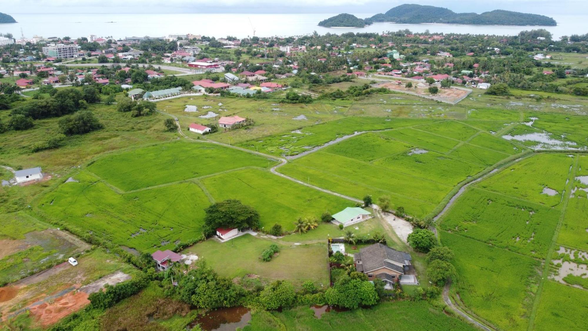 Tempoyak villa homestay Pantai Cenang  Dış mekan fotoğraf
