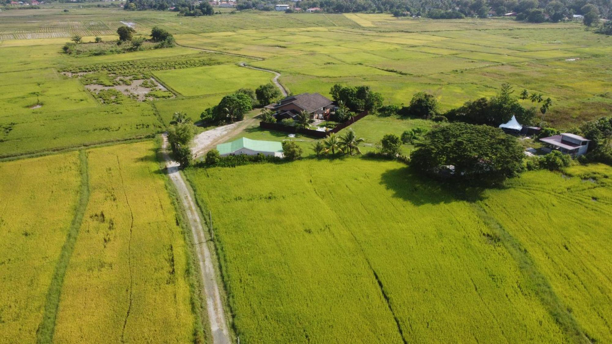 Tempoyak villa homestay Pantai Cenang  Dış mekan fotoğraf