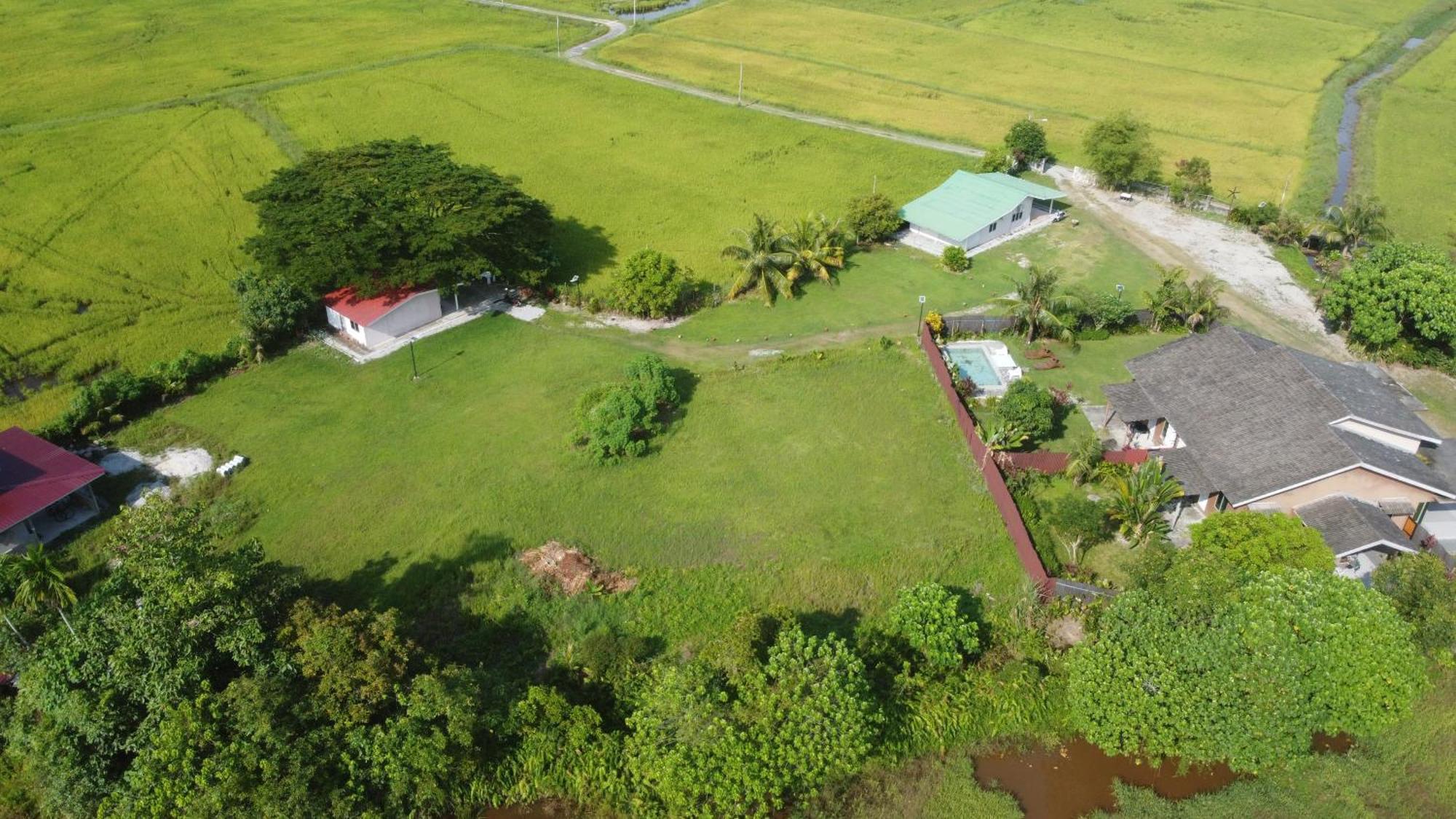 Tempoyak villa homestay Pantai Cenang  Dış mekan fotoğraf