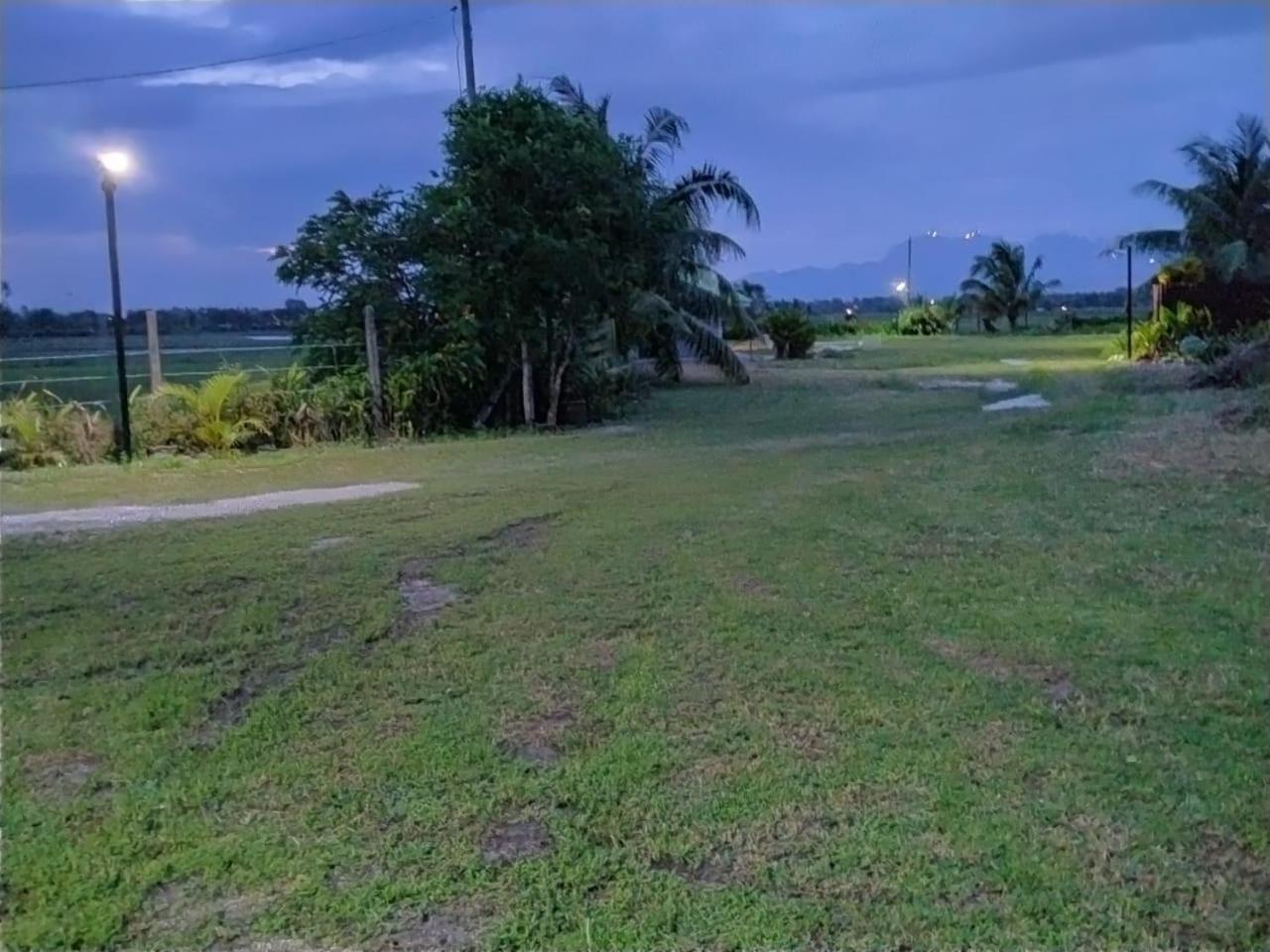 Tempoyak villa homestay Pantai Cenang  Dış mekan fotoğraf