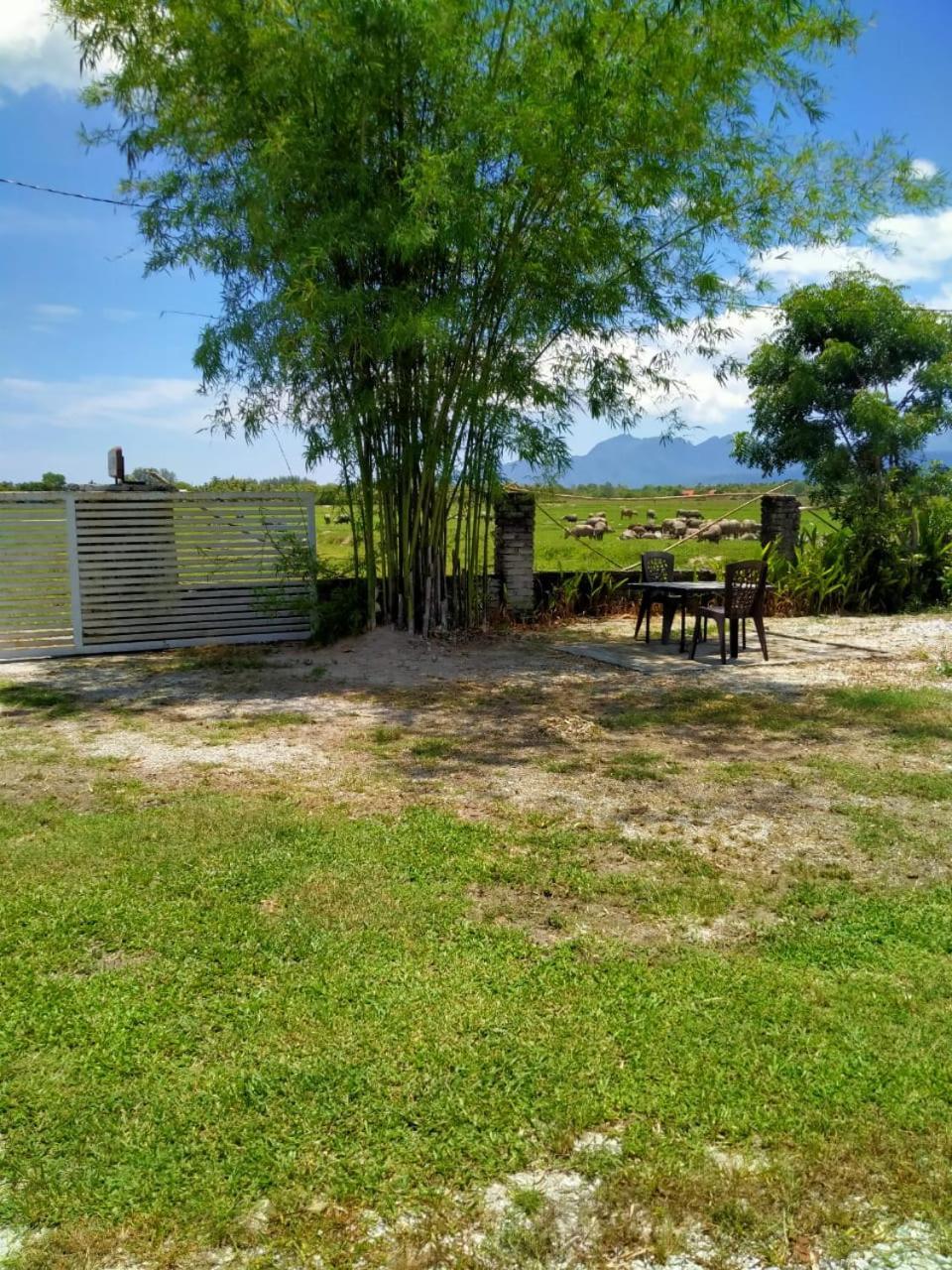 Tempoyak villa homestay Pantai Cenang  Dış mekan fotoğraf