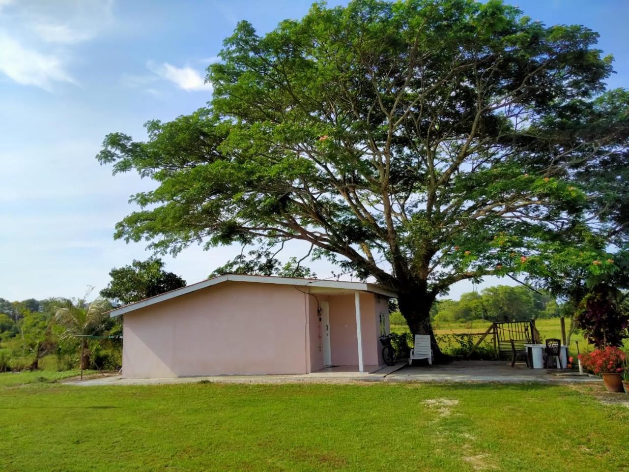 Tempoyak villa homestay Pantai Cenang  Dış mekan fotoğraf