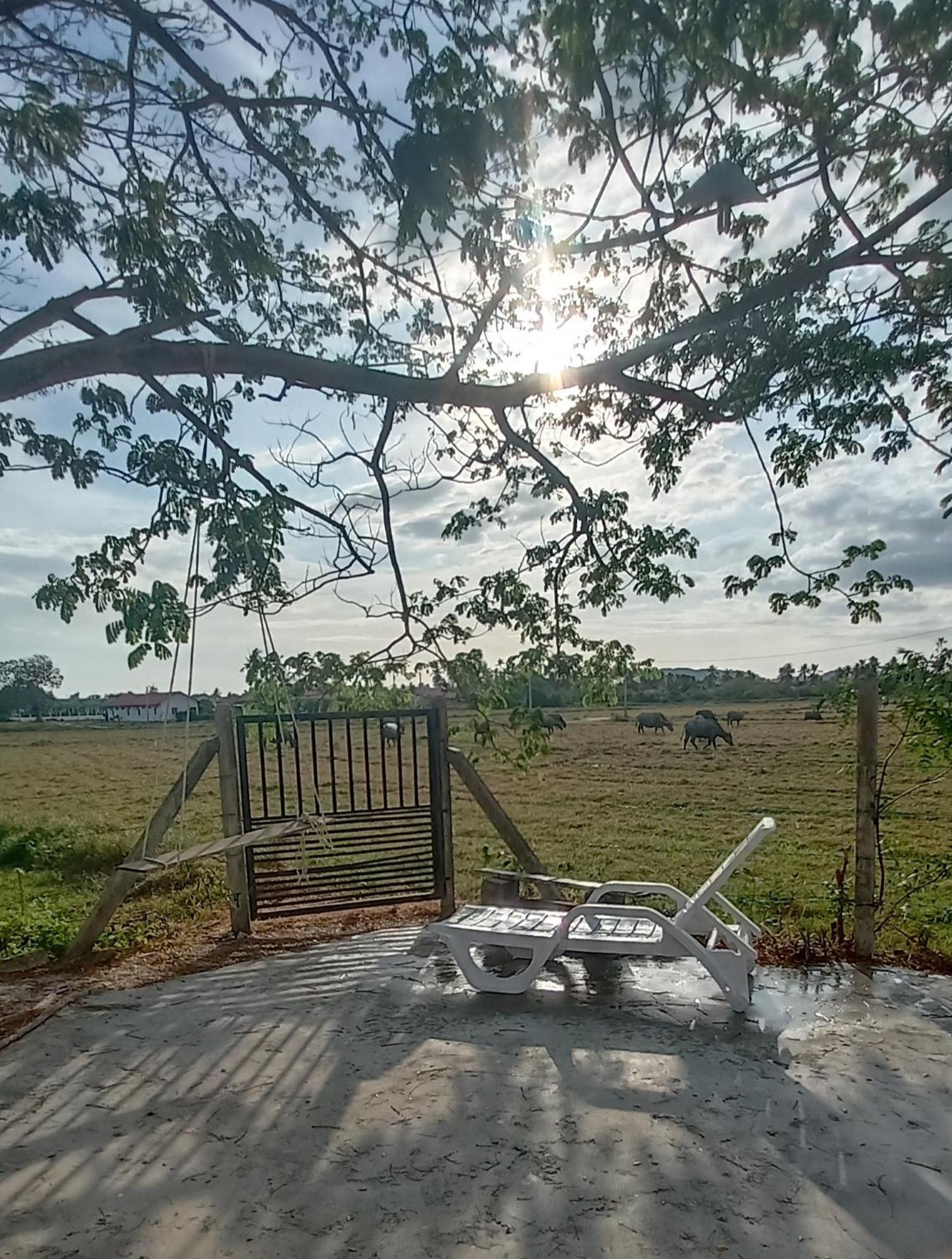 Tempoyak villa homestay Pantai Cenang  Oda fotoğraf
