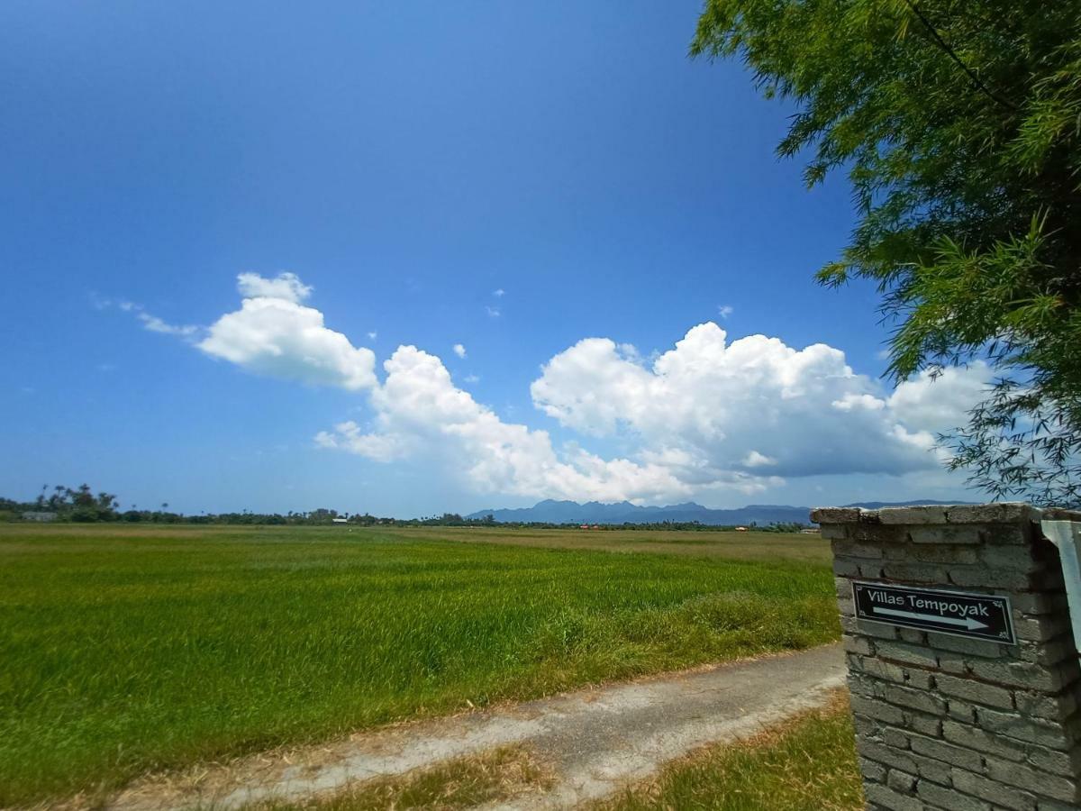 Tempoyak villa homestay Pantai Cenang  Dış mekan fotoğraf