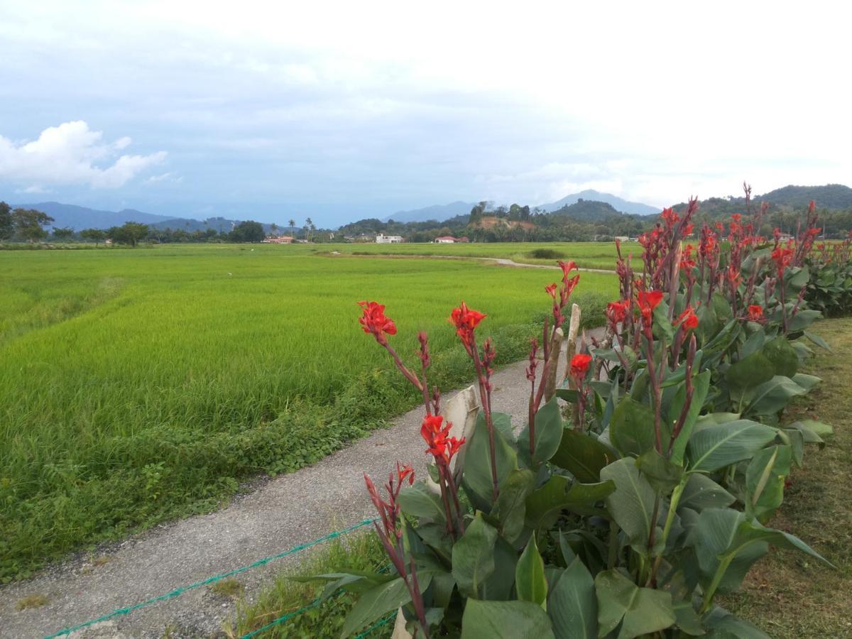 Tempoyak villa homestay Pantai Cenang  Dış mekan fotoğraf